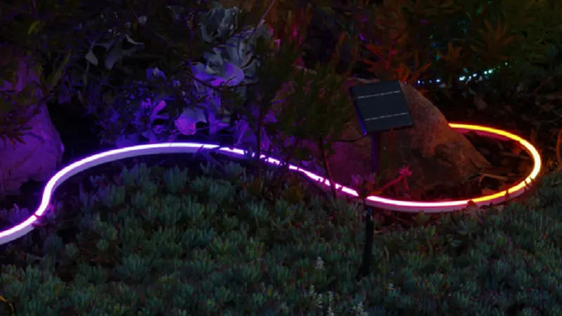 The Environmental and Economic Impact of Switching to LED Neon Flex